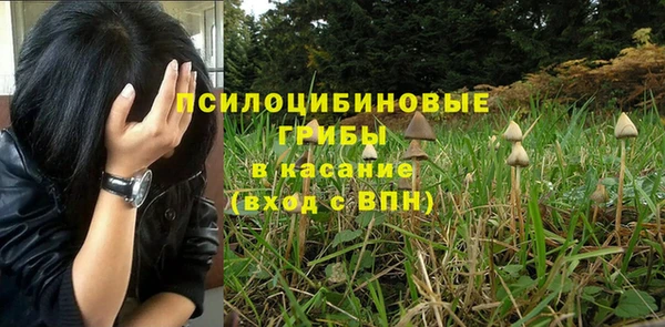 круглые Переславль-Залесский