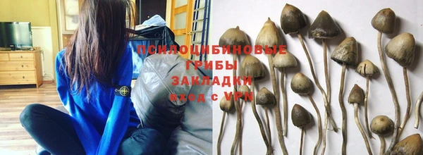 наркотики Осташков